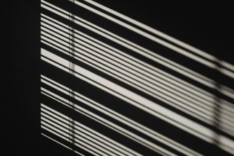 Sharp diagonal shadows cast by window blinds across an interior wall